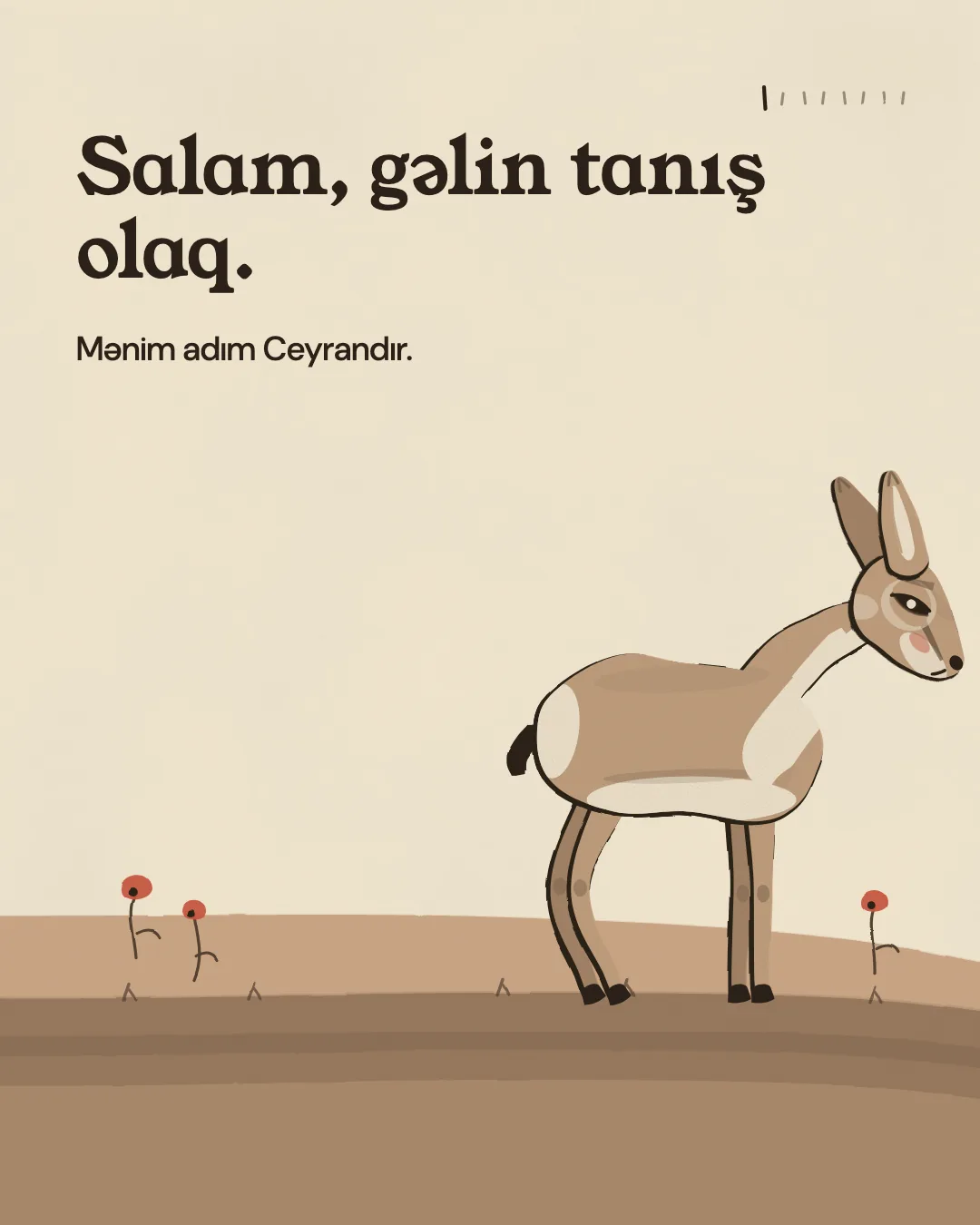 Salam, gəlin tanış olaq. Mənim adım Ceyrandır.