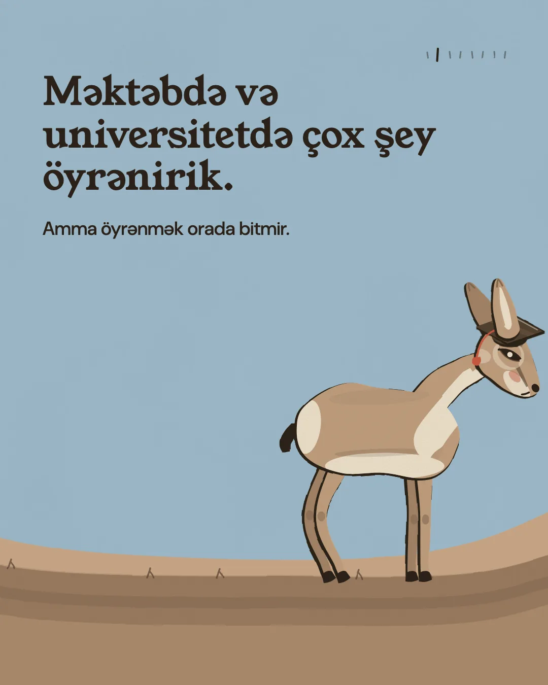 Məktəbdə və universitetdə çox şey öyrənirik. Amma öyrənmək orada bitmir.
