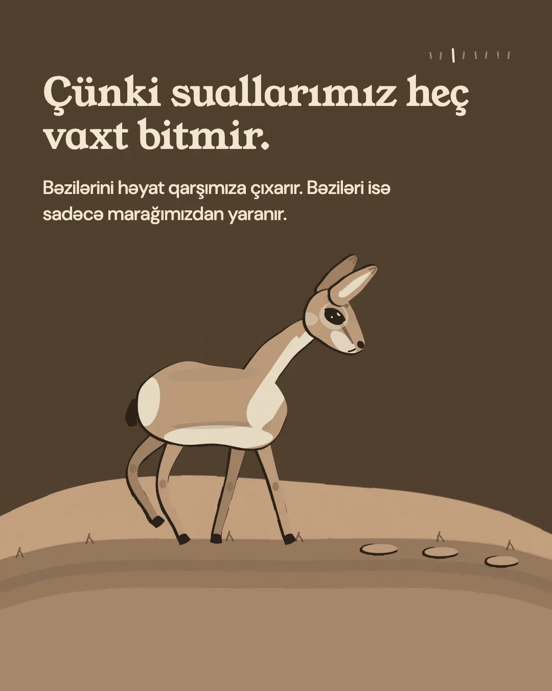 Çünki suallarımız heç vaxt bitmir. Bəzilərini həyat qarşımıza çıxarır. Bəziləri isə sadəcə marağımızdan yaranır.