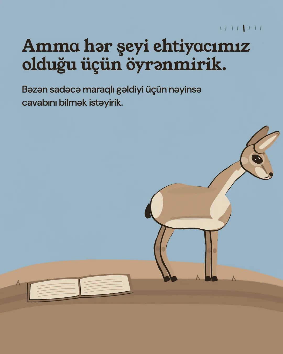 Amma hər şeyi ehtiyacımız olduğu üçün öyrənmirik. Bəzən sadəcə maraqlı gəldiyi üçün nəyinsə cavabını bilmək istəyirik.