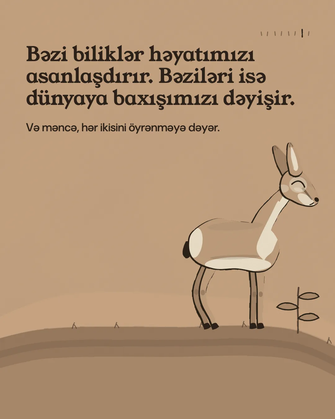 Bəzi biliklər həyatımızı asanlaşdırır. Bəziləri isə dünyaya baxışımızı dəyişir. Və məncə, hər ikisini öyrənməyə dəyər.
