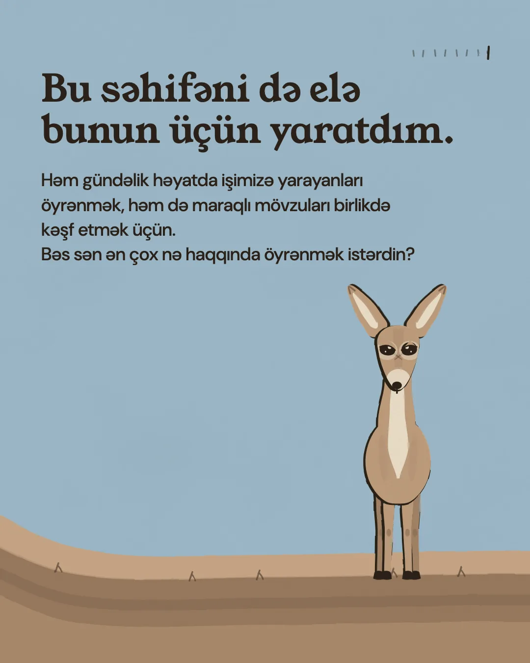 Bu səhifəni də elə bunun üçün yaratdım. Həm gündəlik həyatda işimizə yarayanları öyrənmək, həm də maraqlı mövzuları birlikdə kəşf etmək üçün. Bəs sən ən çox nə haqqında öyrənmək istərdin?